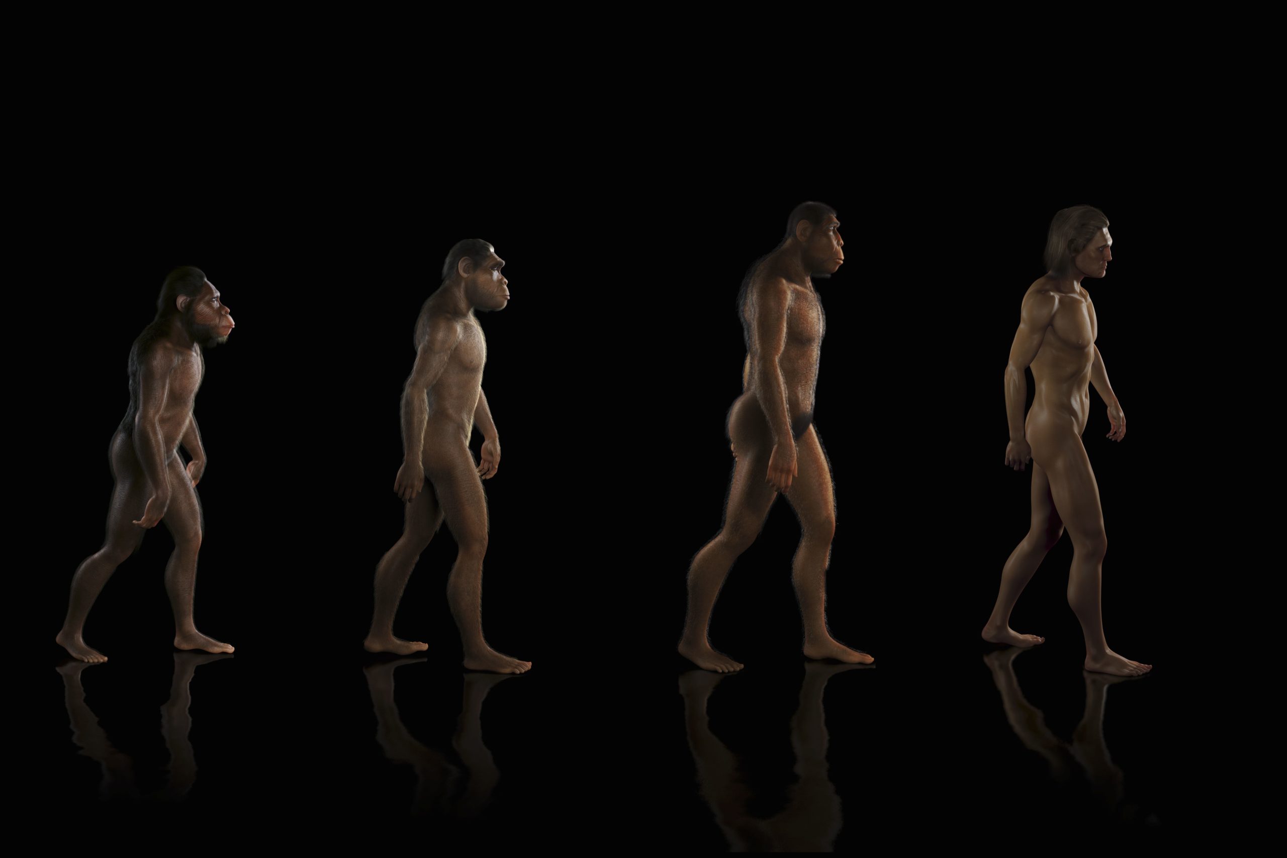 Человеческое поведение и эволюционная психология