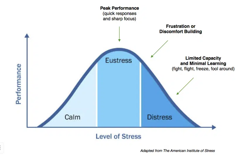 эустресс и дистресс виды стресса.png