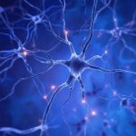 Психосоматика: Распакуйте Себя — Очный Практикум, Изменяющий Жизнь